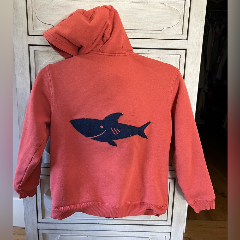 Janie and Jack boys hoodie size 10 read
